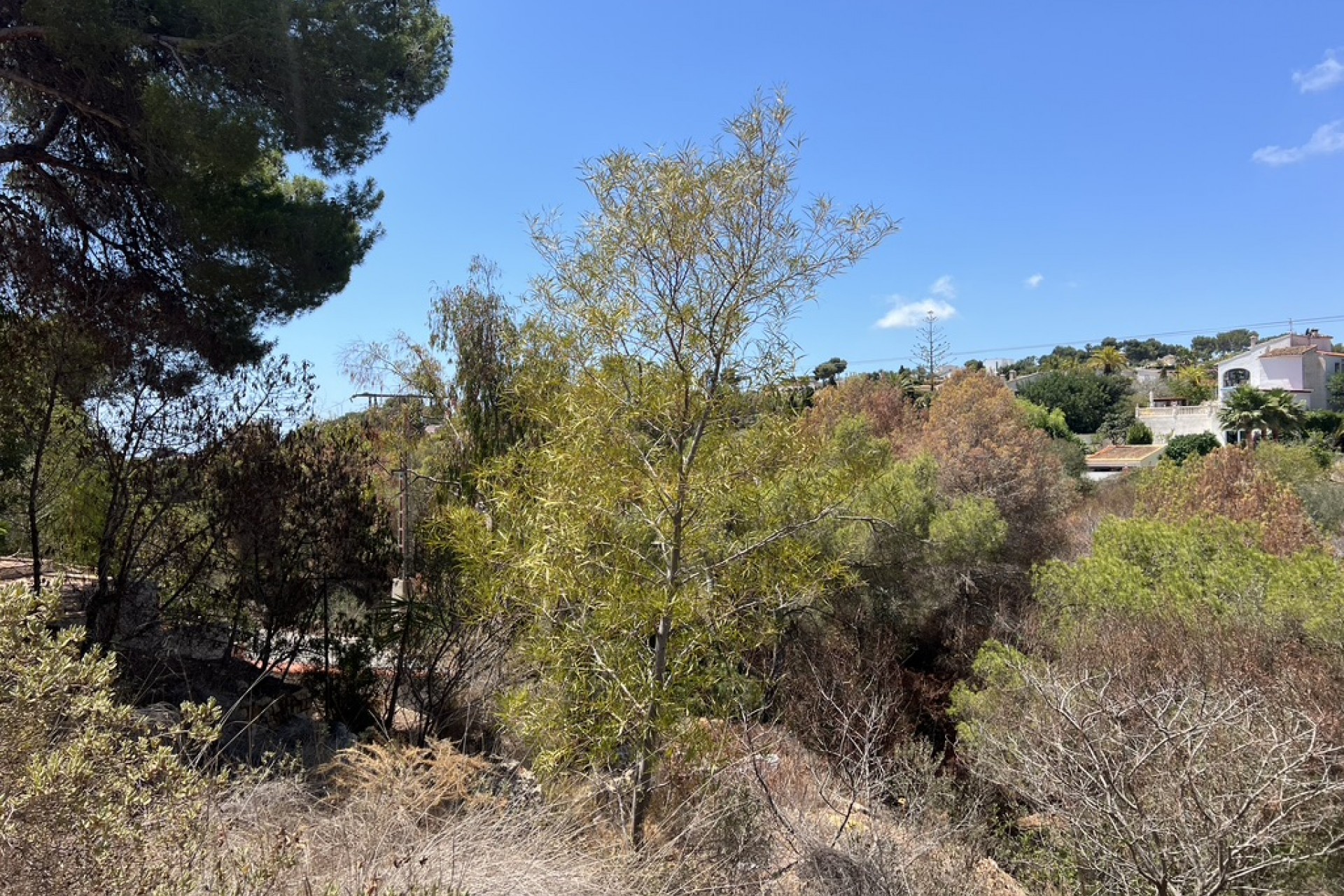 Te koop - Perceel/land -
Benissa - Montemar