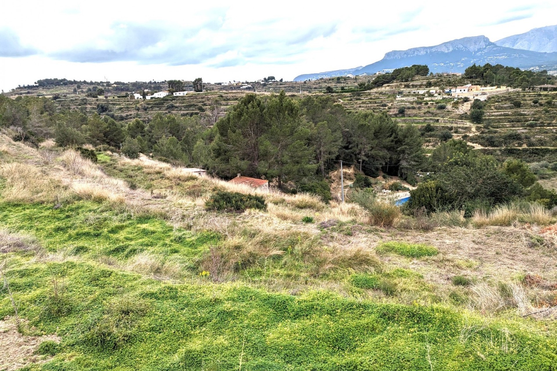 Te koop - Perceel/land -
Benissa - Partida Llenes