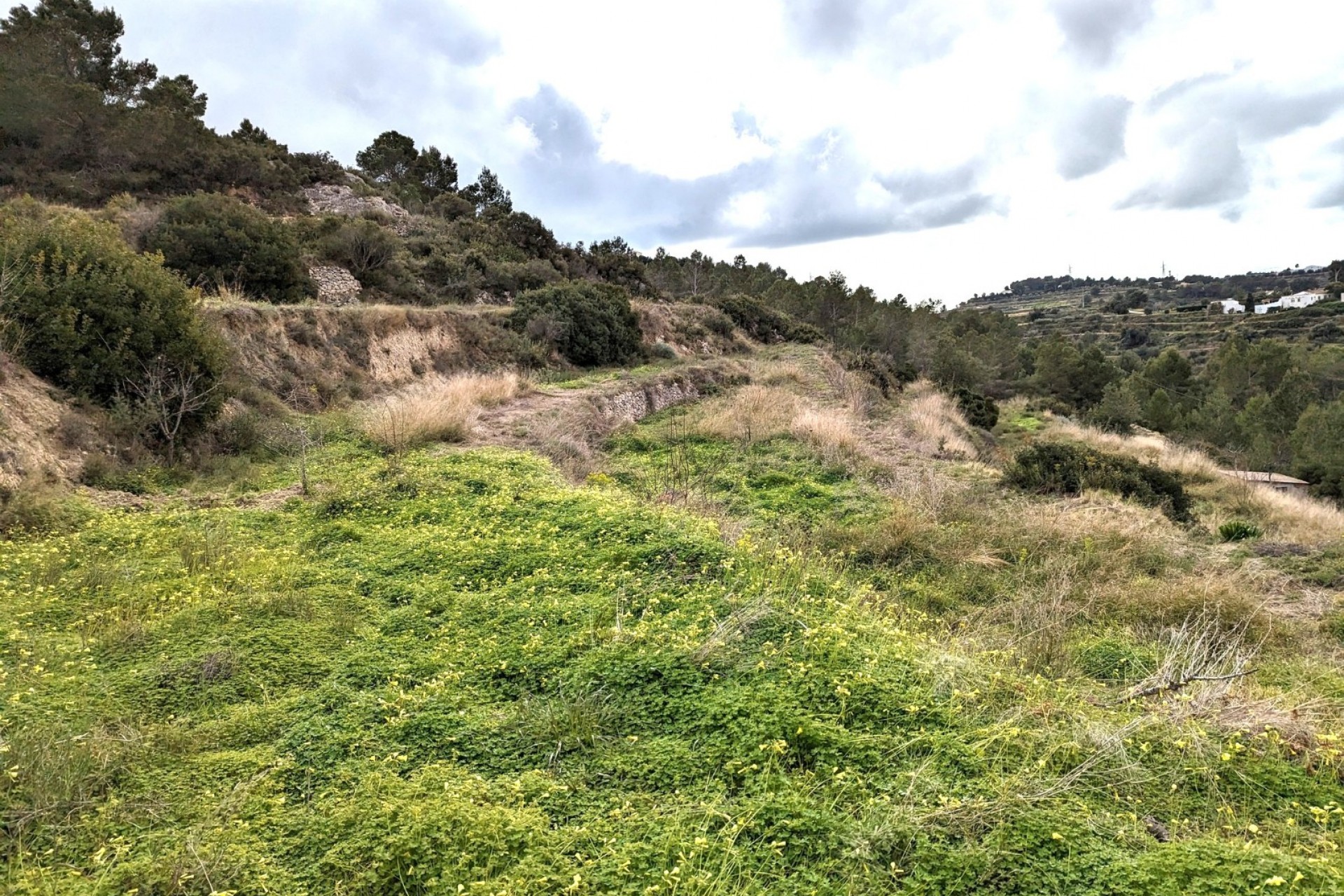 Te koop - Perceel/land -
Benissa - Partida Llenes