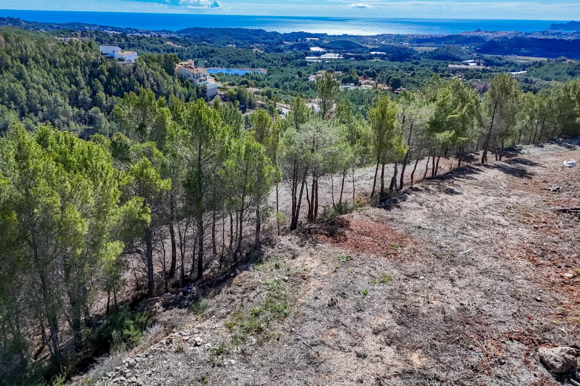 Te koop - Perceel/land -
Callosa d'en Sarrià - Santa clara