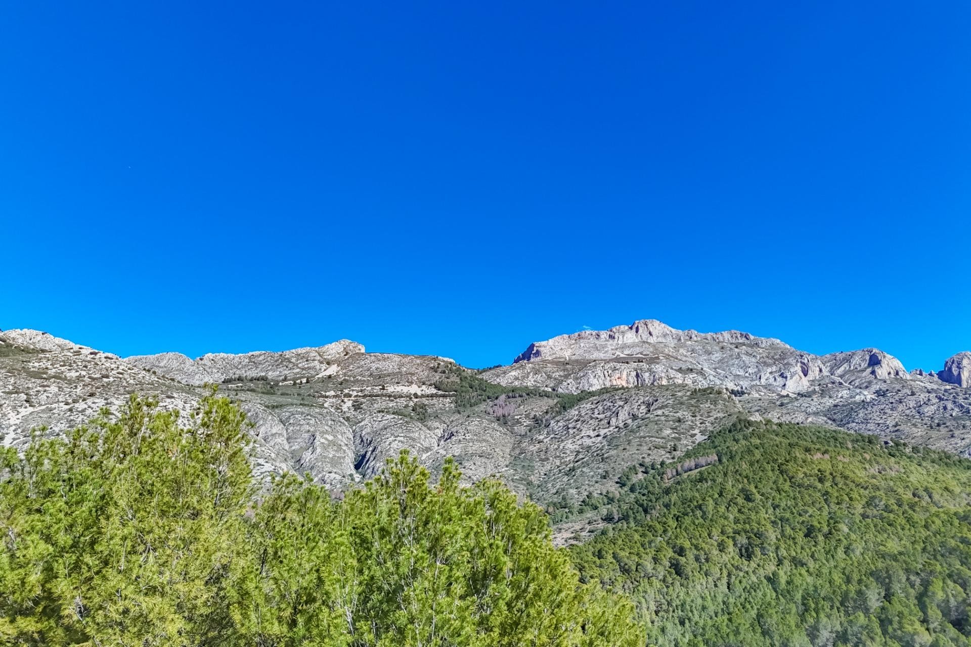 Te koop - Perceel/land -
Callosa d'en Sarrià - Santa clara