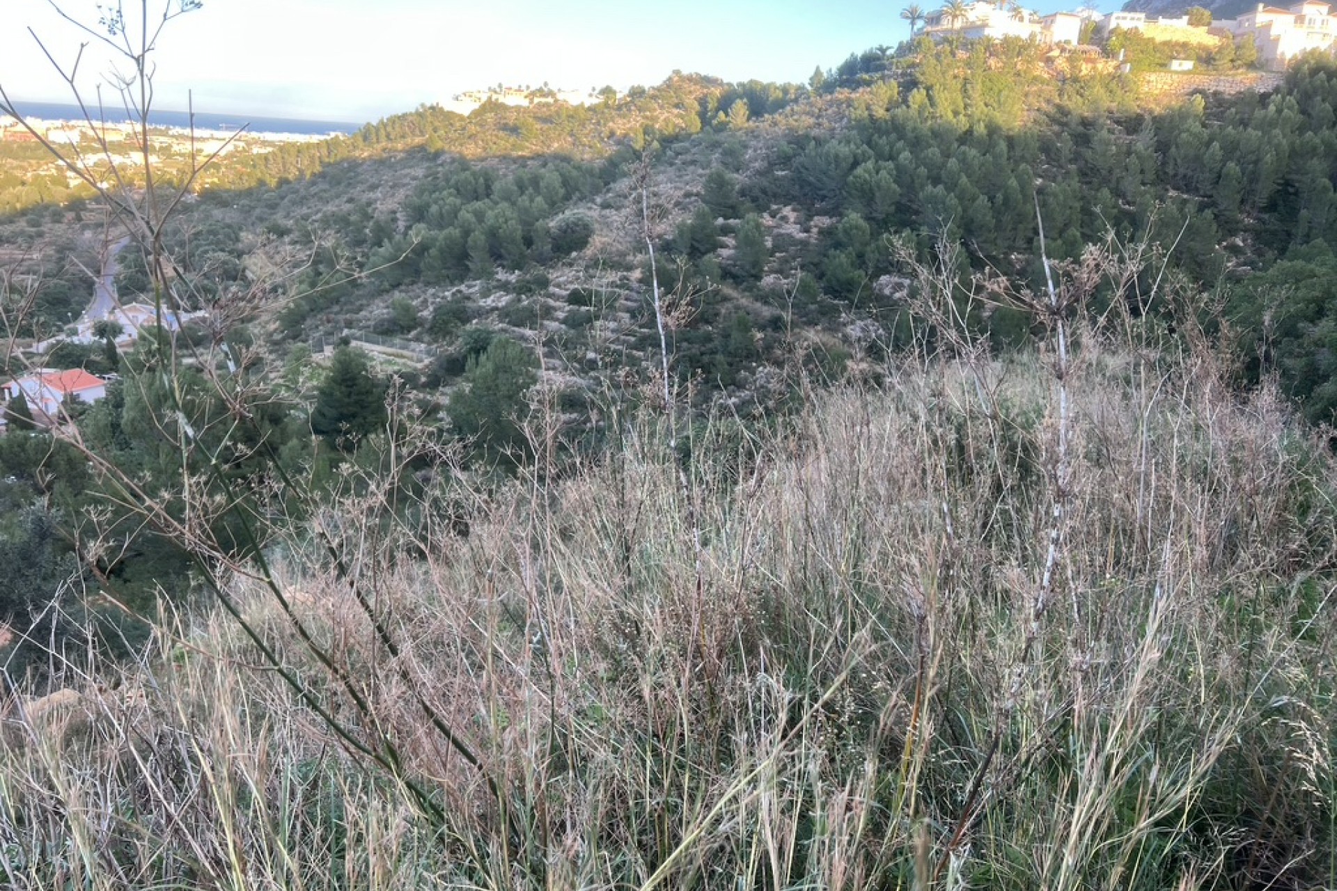 Te koop - Perceel/land -
Denia - La Pedrera