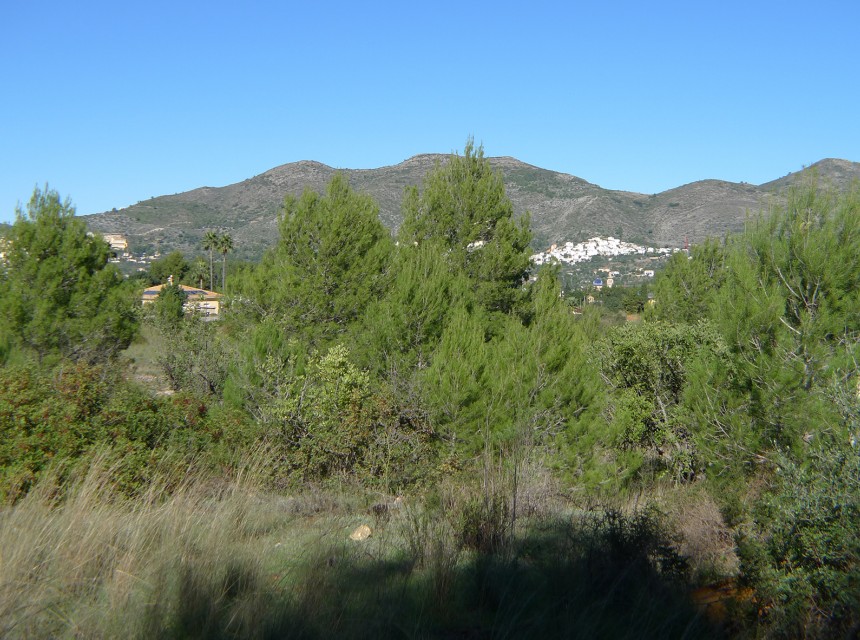 Te koop - Perceel/land -
Jalon