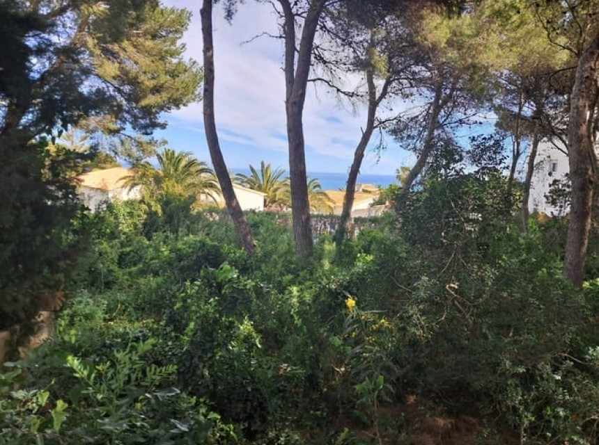 Te koop - Perceel/land -
Javea