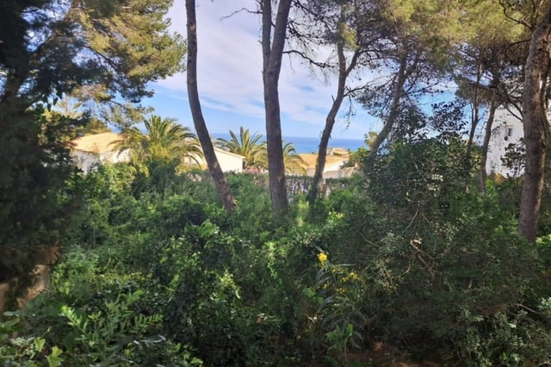 Te koop - Perceel/land -
Javea