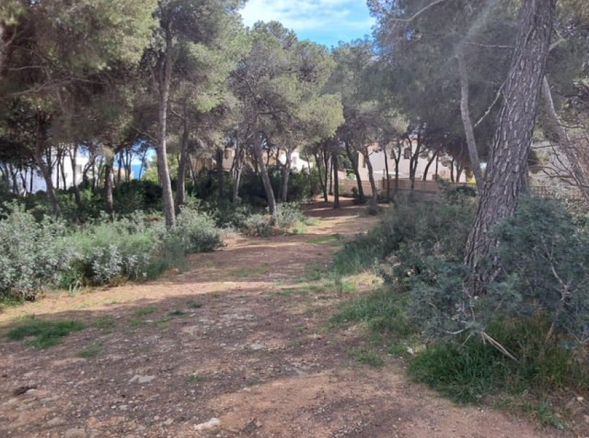Te koop - Perceel/land -
Javea