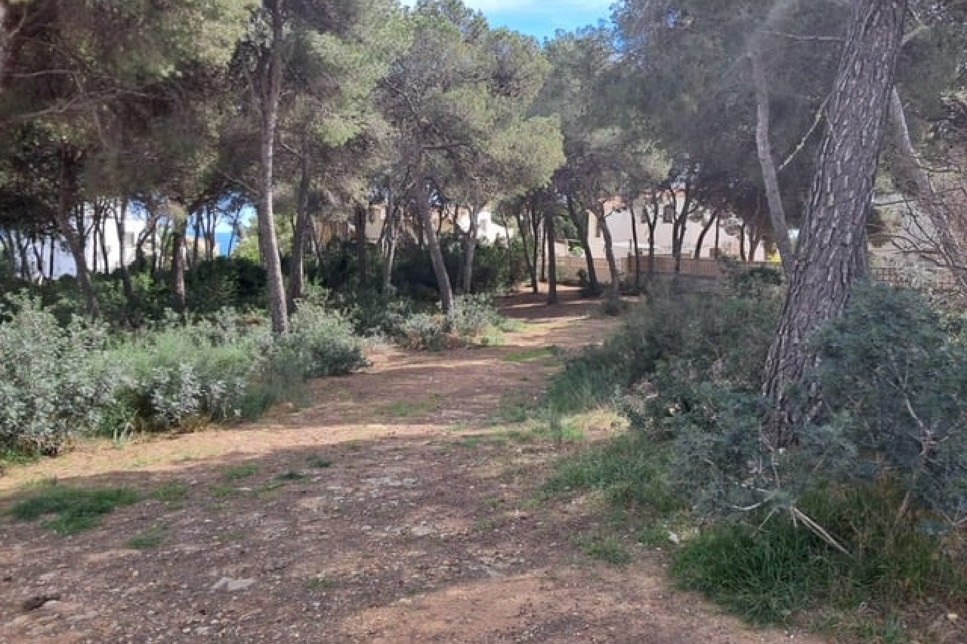 Te koop - Perceel/land -
Javea