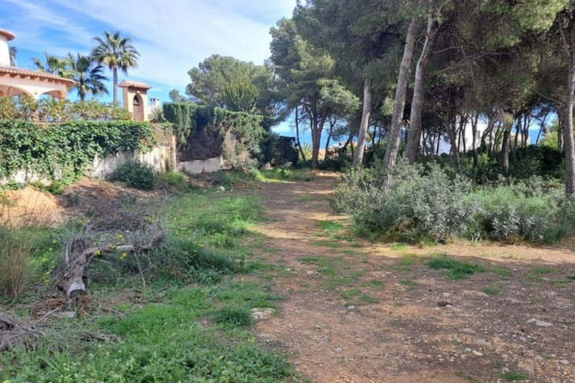 Te koop - Perceel/land -
Javea