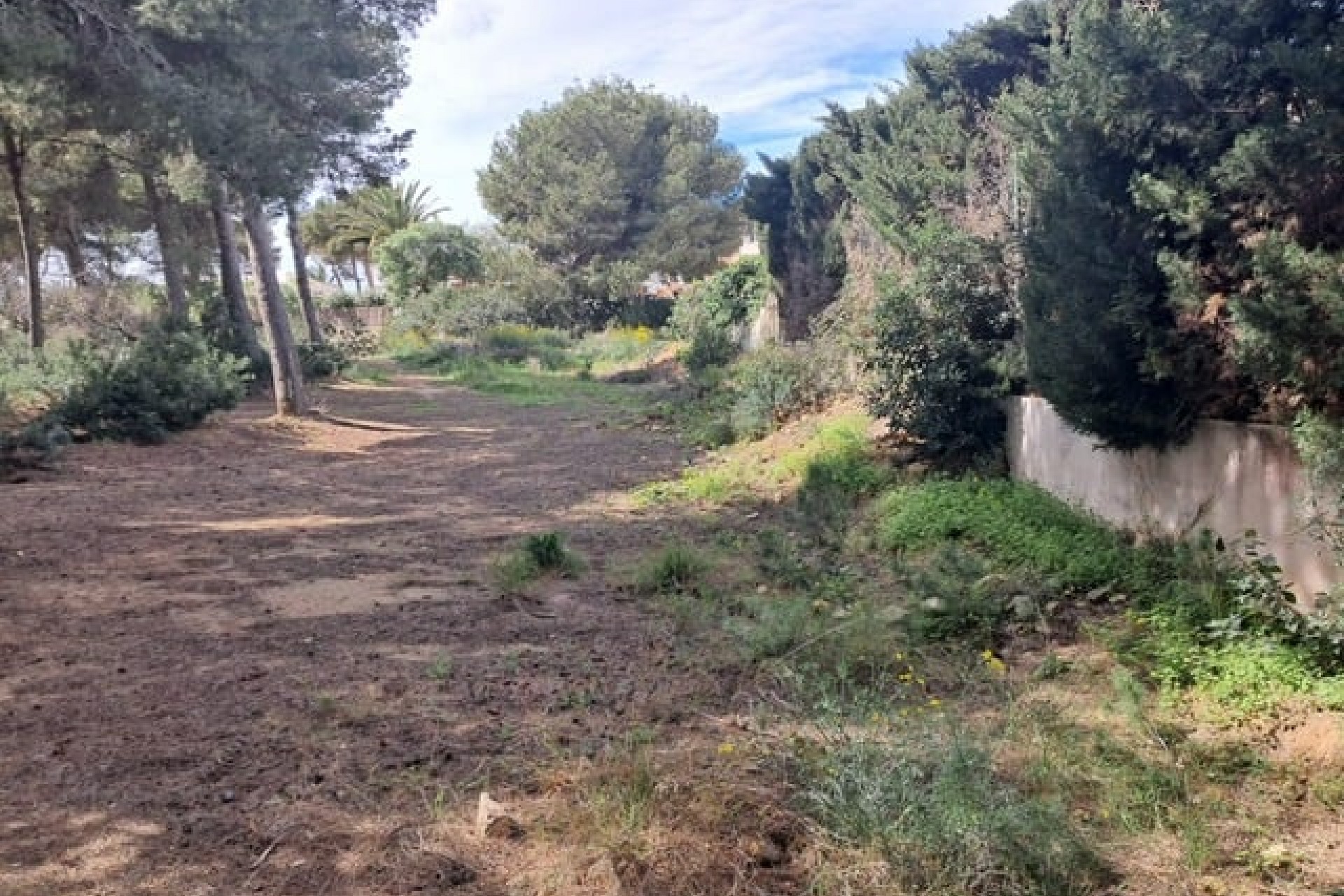 Te koop - Perceel/land -
Javea