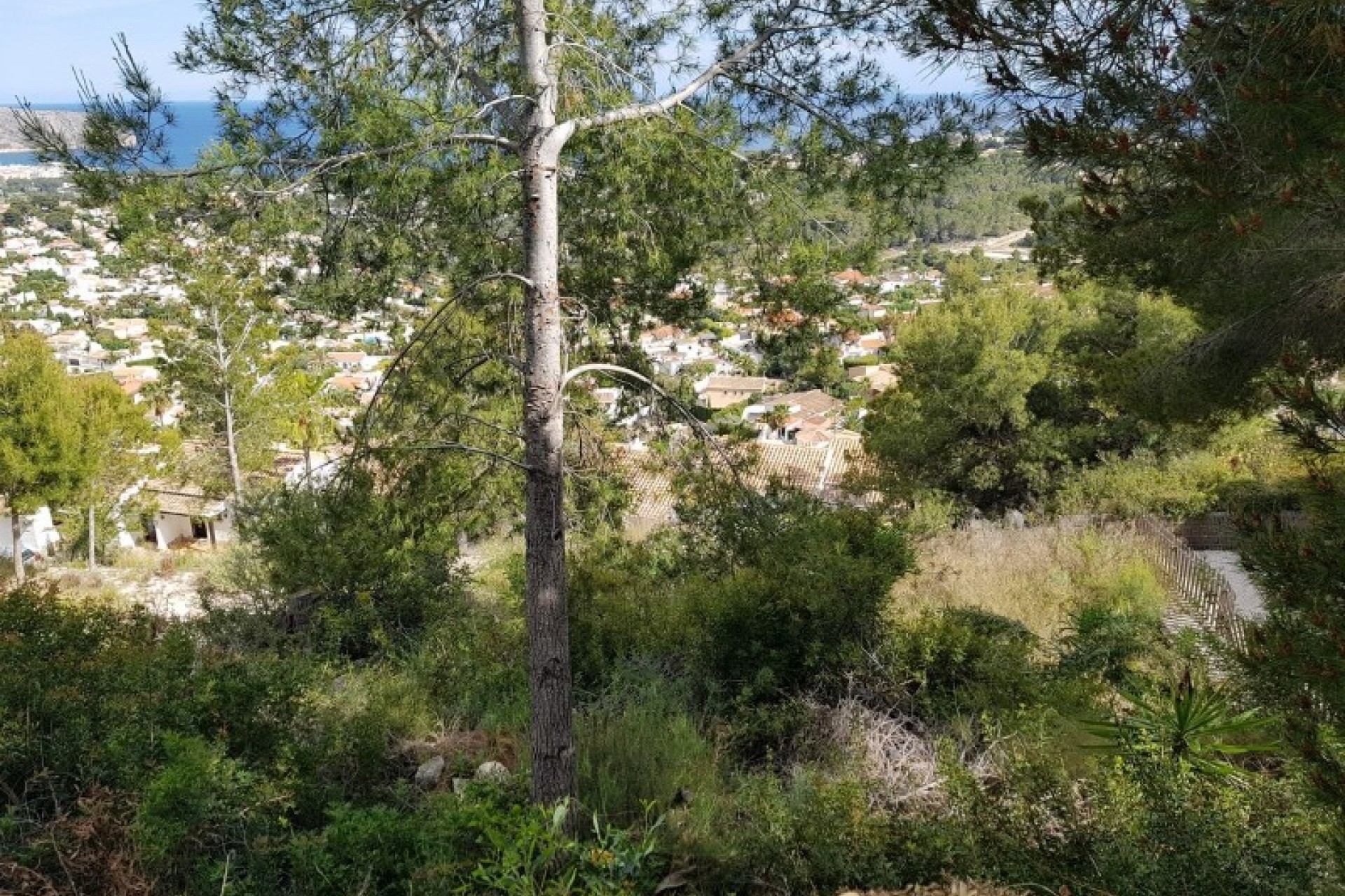 Te koop - Perceel/land -
Moraira - Benimeit