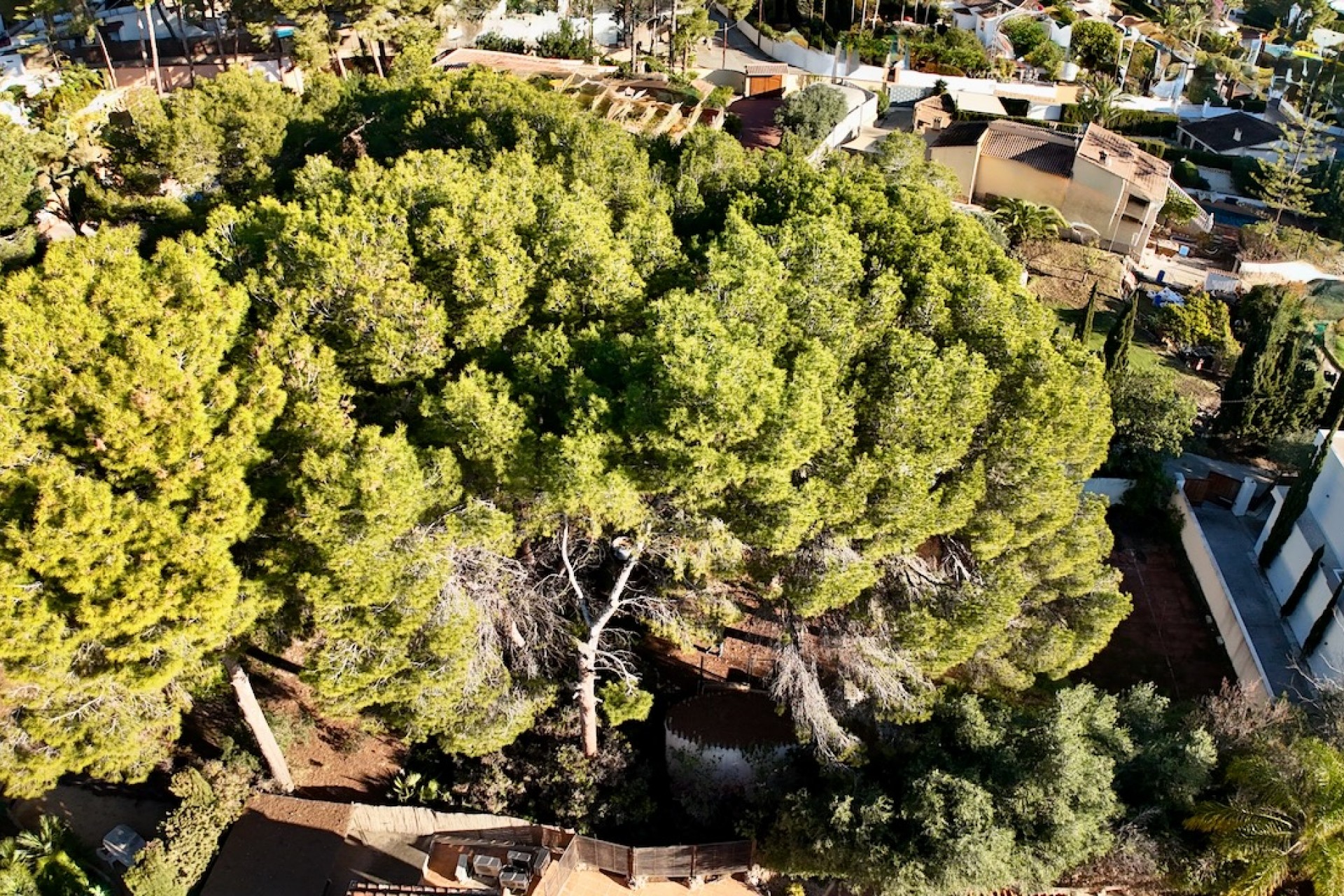 Te koop - Perceel/land -
Moraira - La Cometa