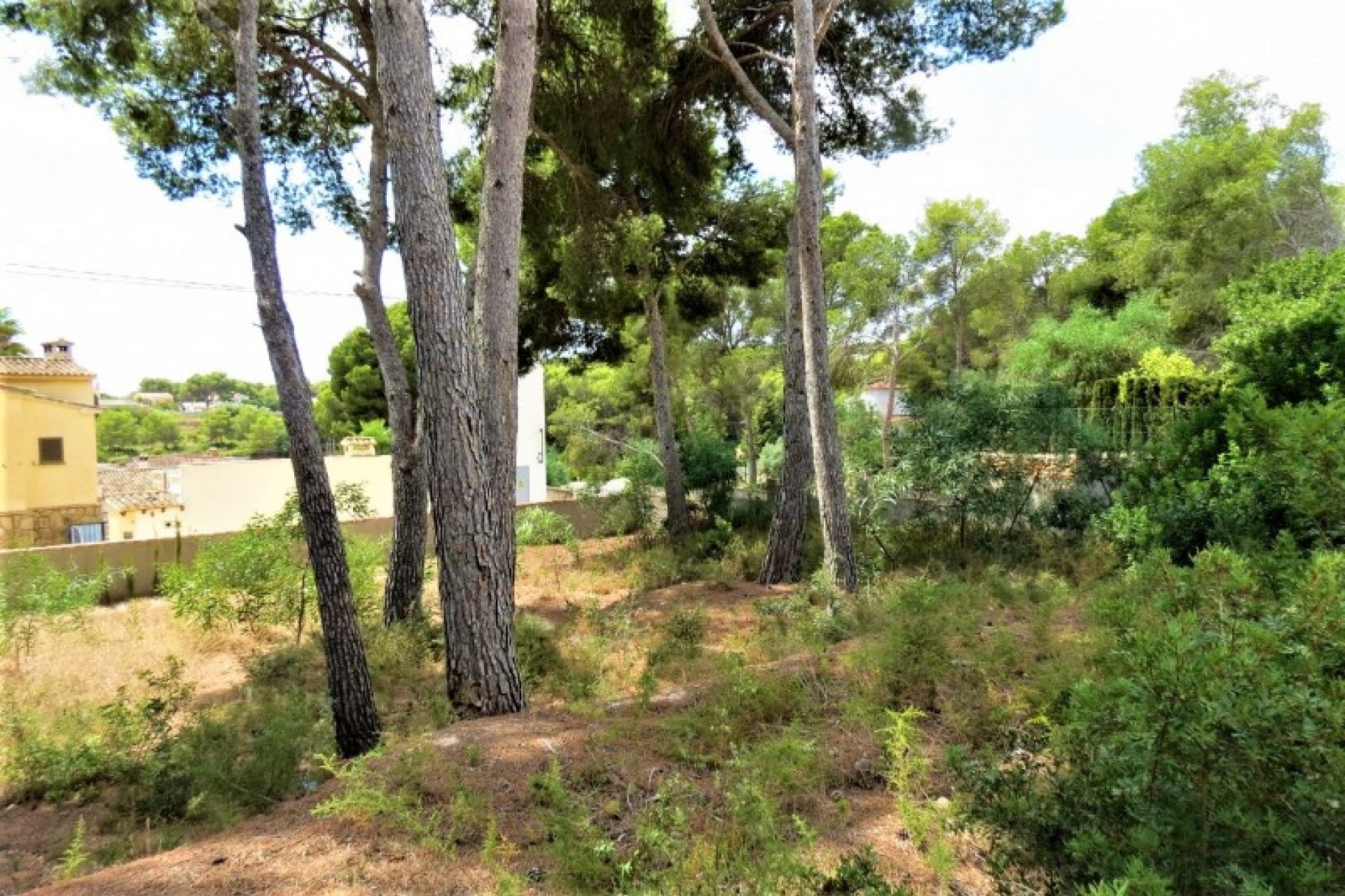 Te koop - Perceel/land -
Moraira - Pinar de l´Advocat