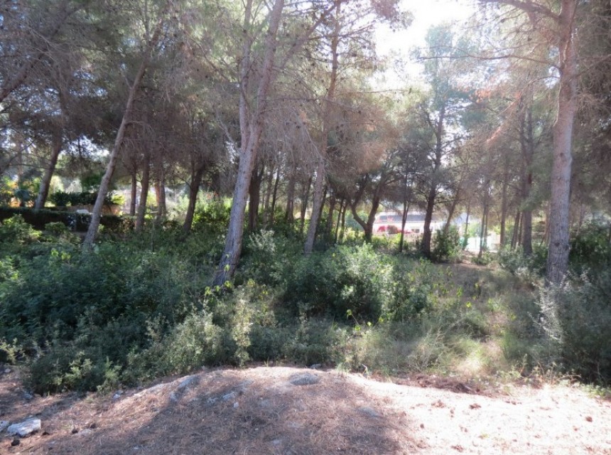 Te koop - Perceel/land -
Moraira - Pla de Mar