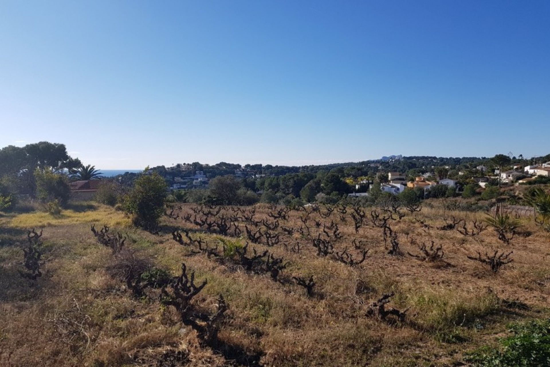 Te koop - Perceel/land -
Moraira - Sabatera