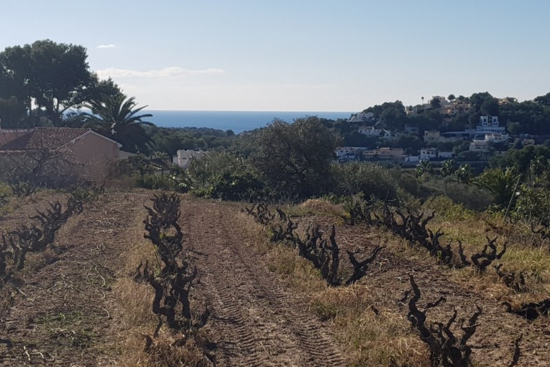 Te koop - Perceel/land -
Moraira - Sabatera