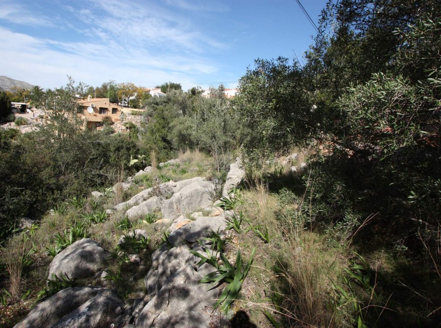 Te koop - Perceel/land -
Orba - Periferia