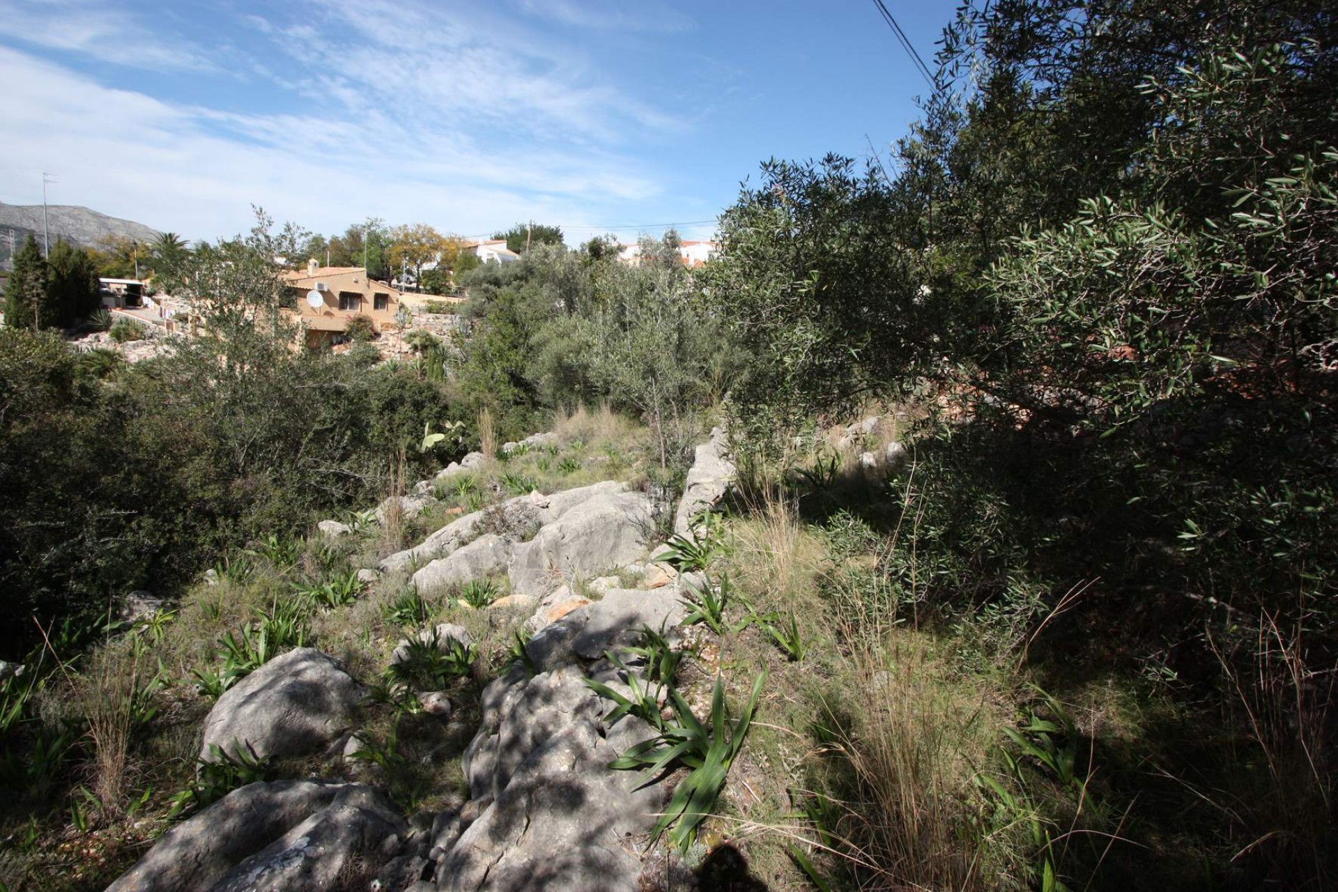 Te koop - Perceel/land -
Orba - Periferia