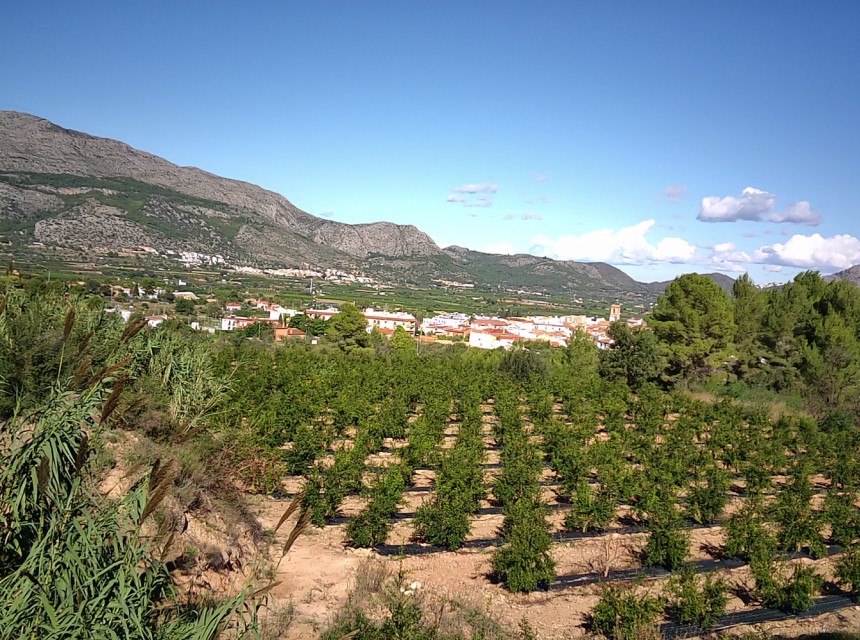 Te koop - Perceel/land -
Orba