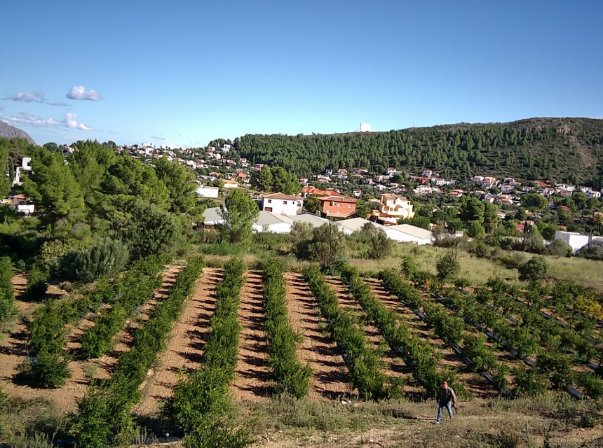 Te koop - Perceel/land -
Orba