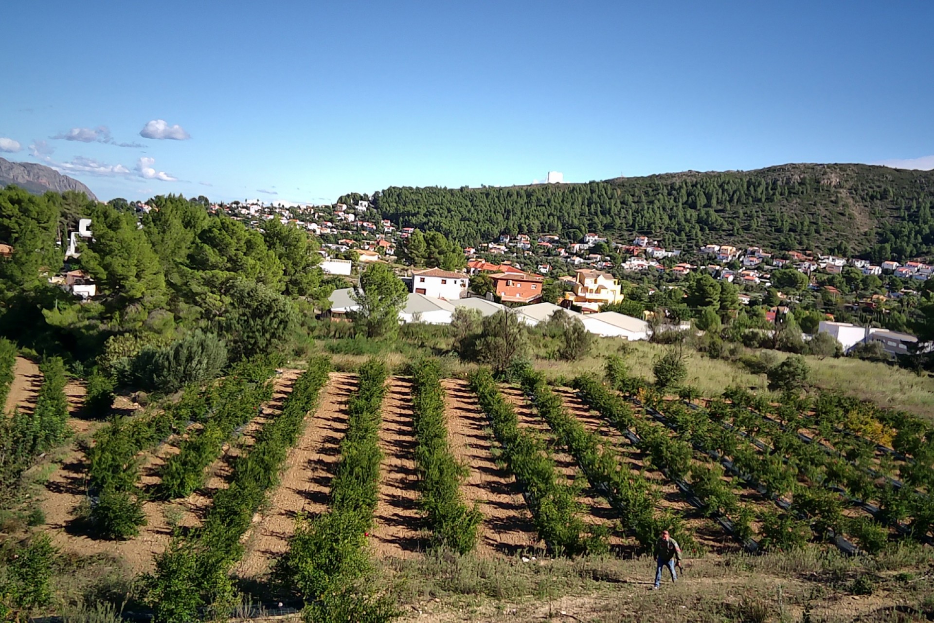 Te koop - Perceel/land -
Orba