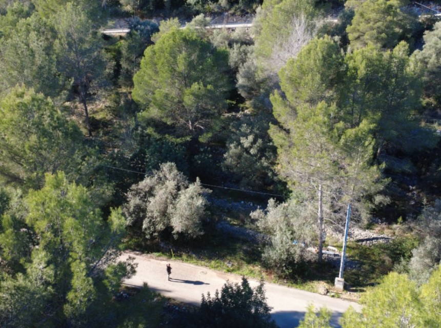 Te koop - Perceel/land -
Orba