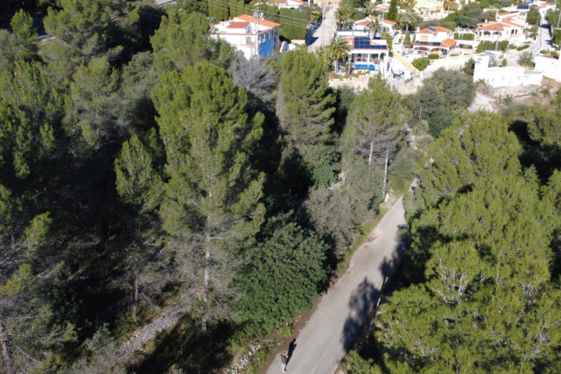 Te koop - Perceel/land -
Orba