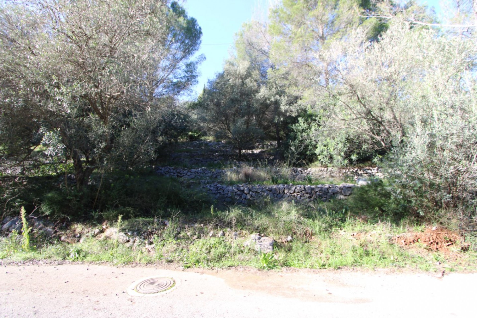 Te koop - Perceel/land -
Orba