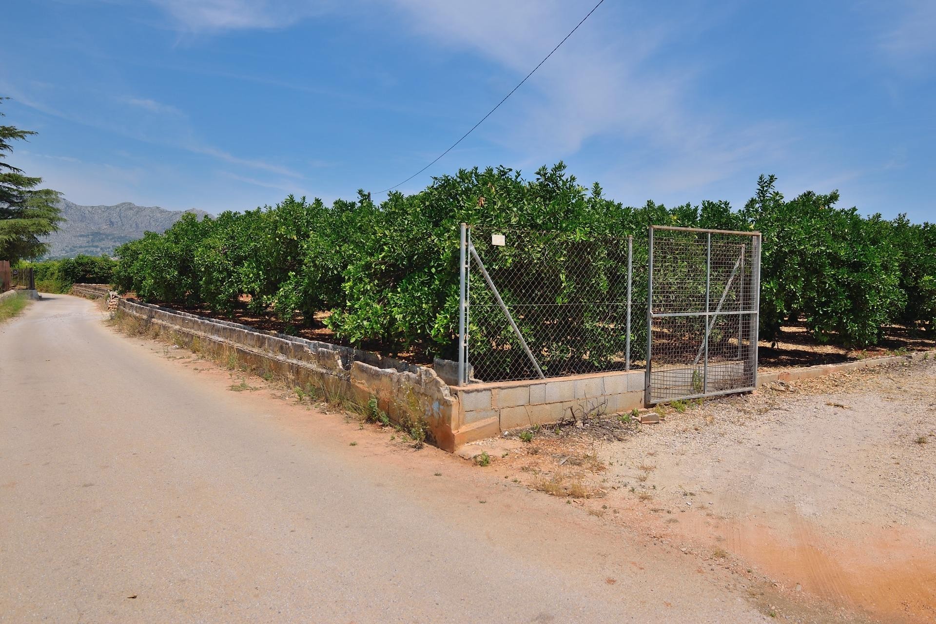 Te koop - Perceel/land -
Pedreguer - CAMPO