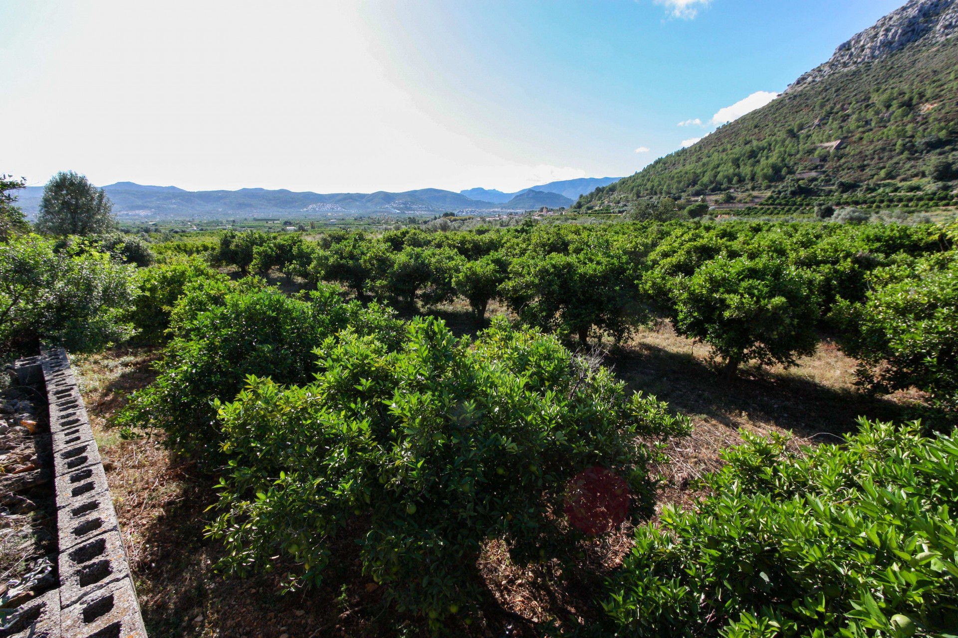 Te koop - Perceel/land -
Sagra