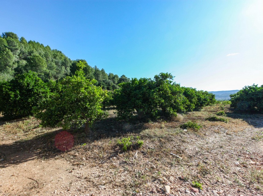 Te koop - Perceel/land -
Sagra