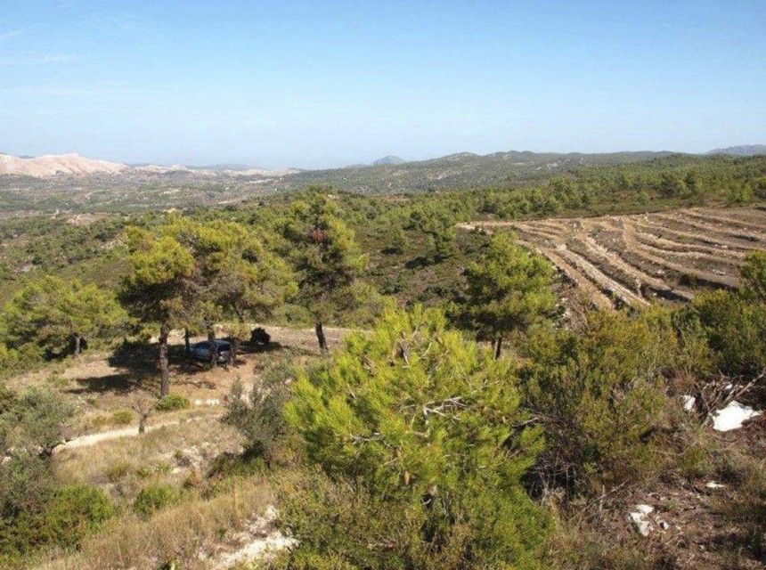 Te koop - Perceel/land -
Valle de Alcalá - Periferia