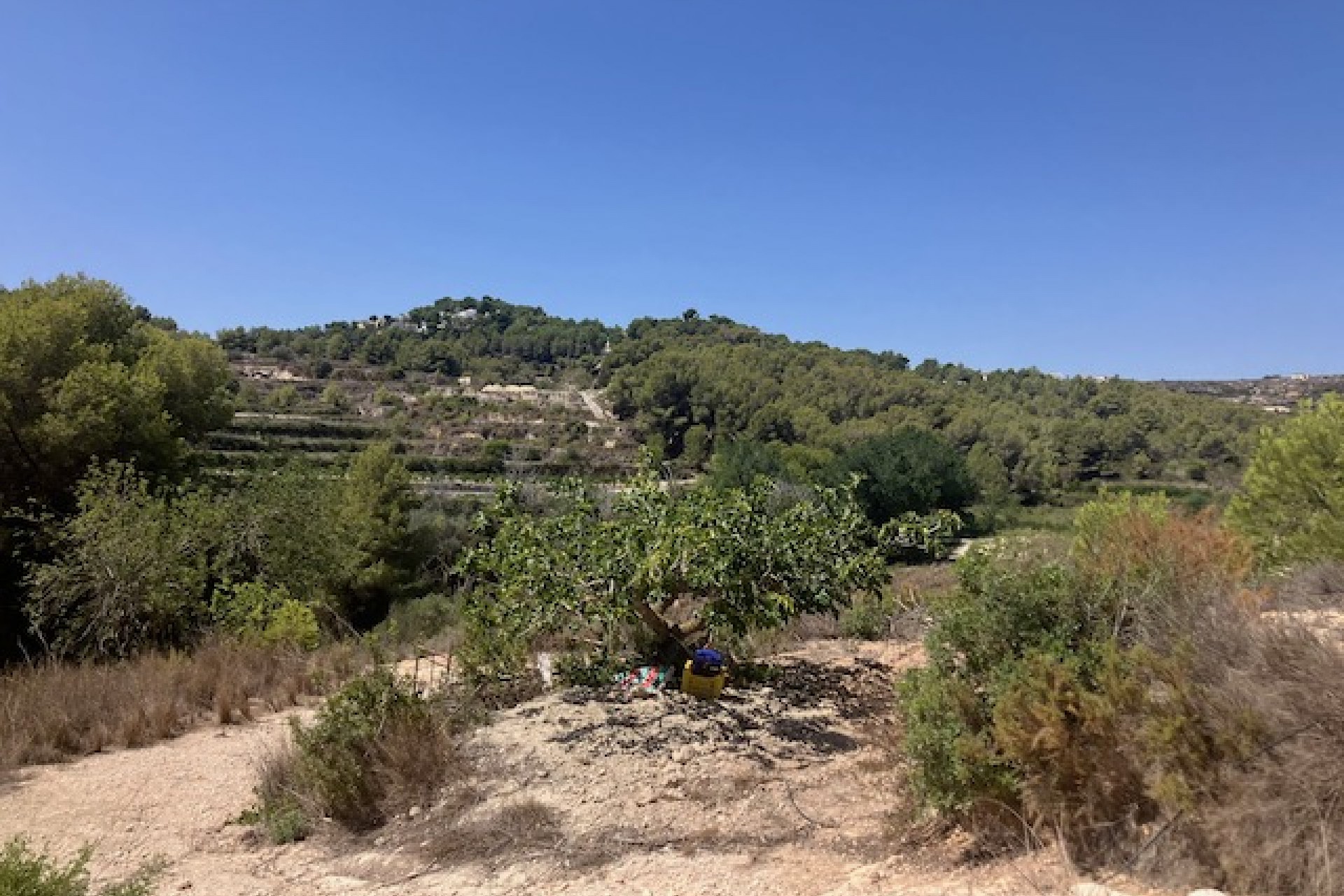 Te koop - Perceel -
Teulada