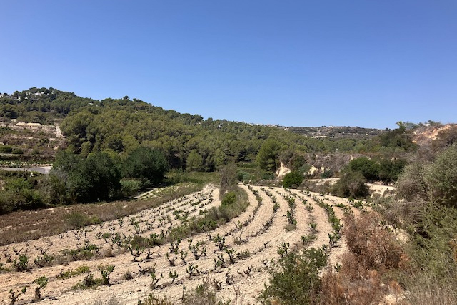 Te koop - Perceel -
Teulada