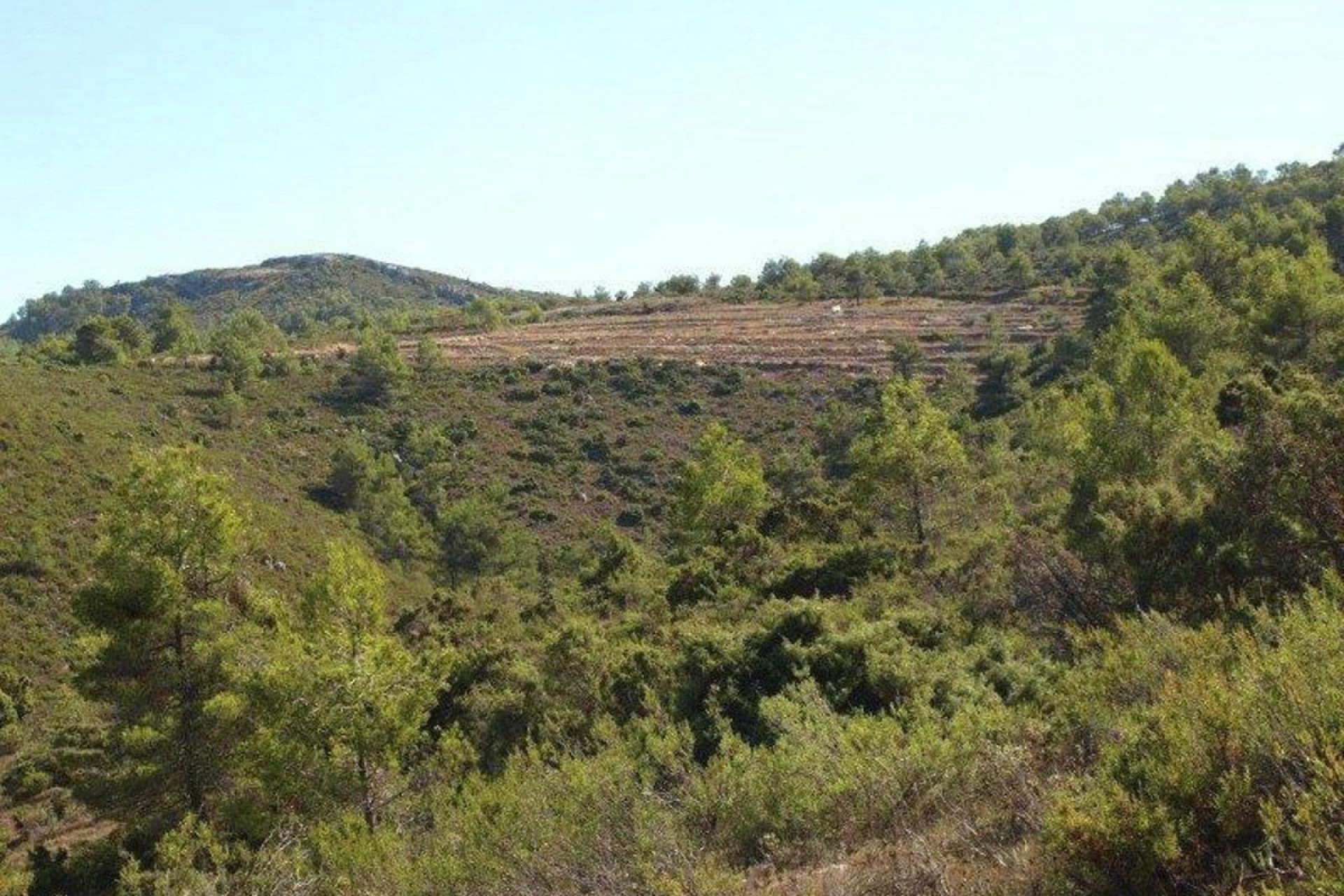 Te koop - Perceel -
Valle de Alcalá - Periferia