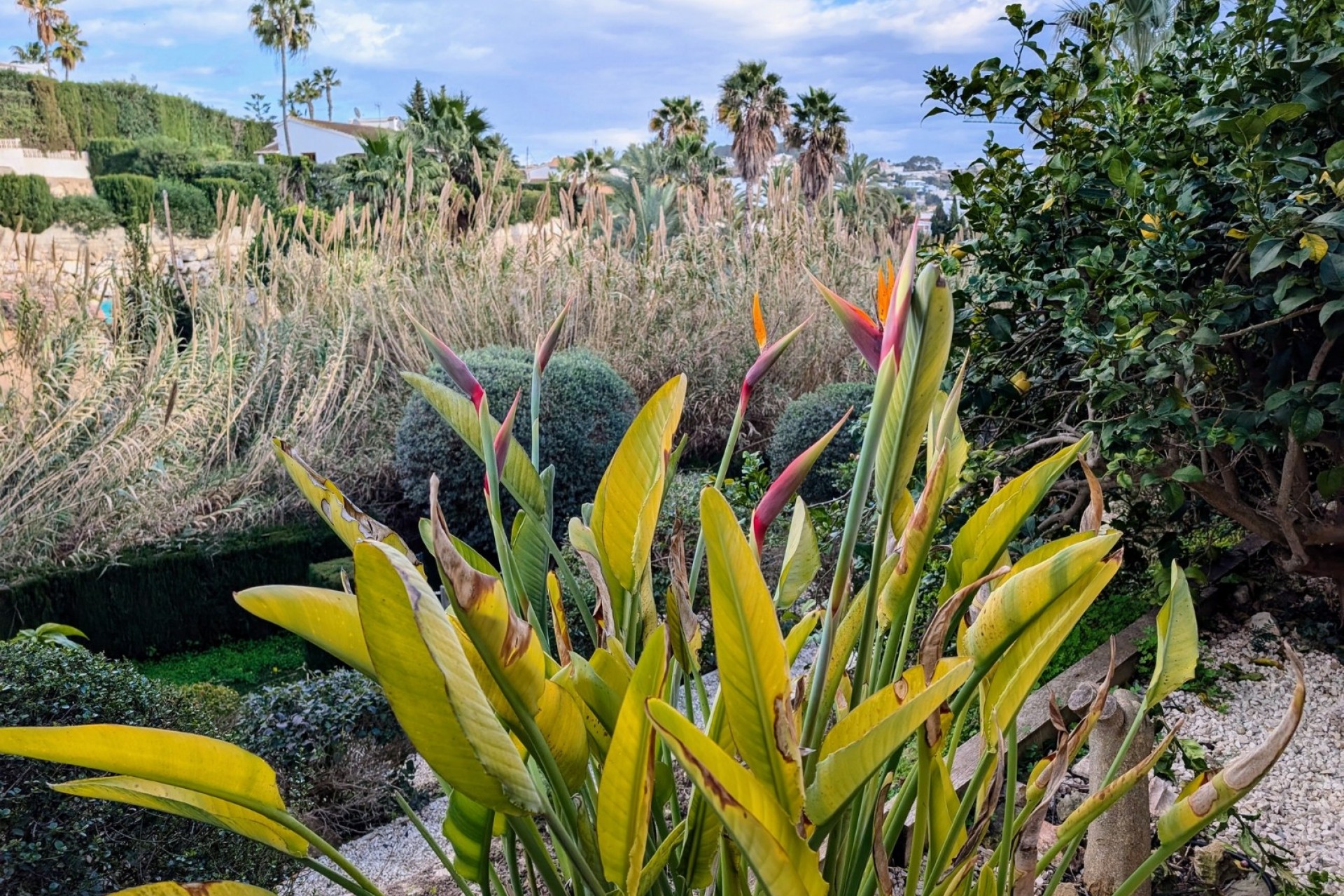 Te koop - Villa -
Benissa - Fanadix