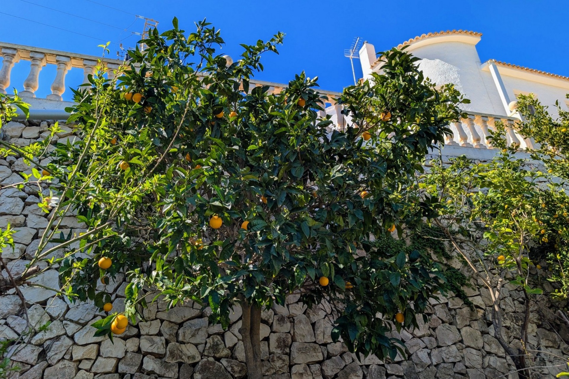 Te koop - Villa -
Benissa - Fanadix