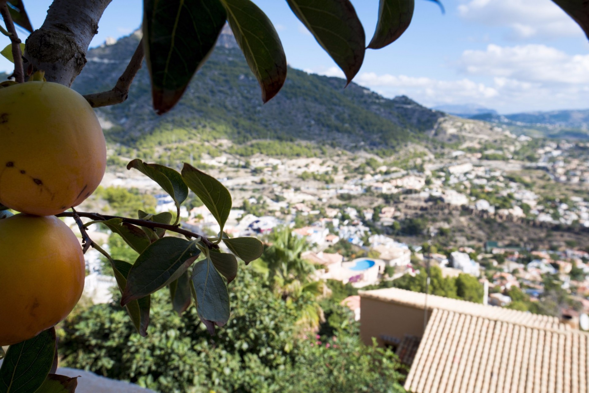 Te koop - Villa -
Calpe - Maryvilla