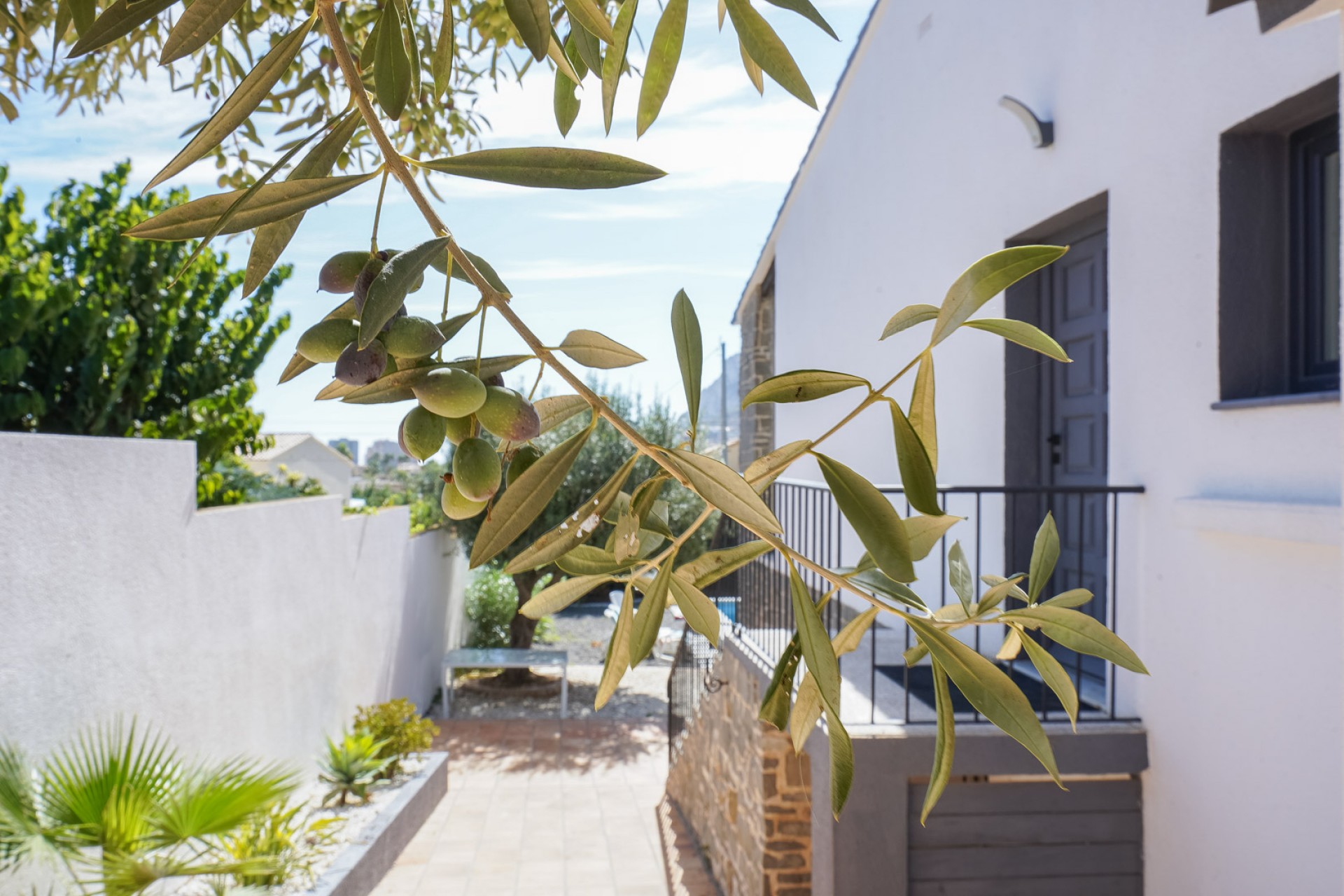 Te koop - Villa -
Calpe