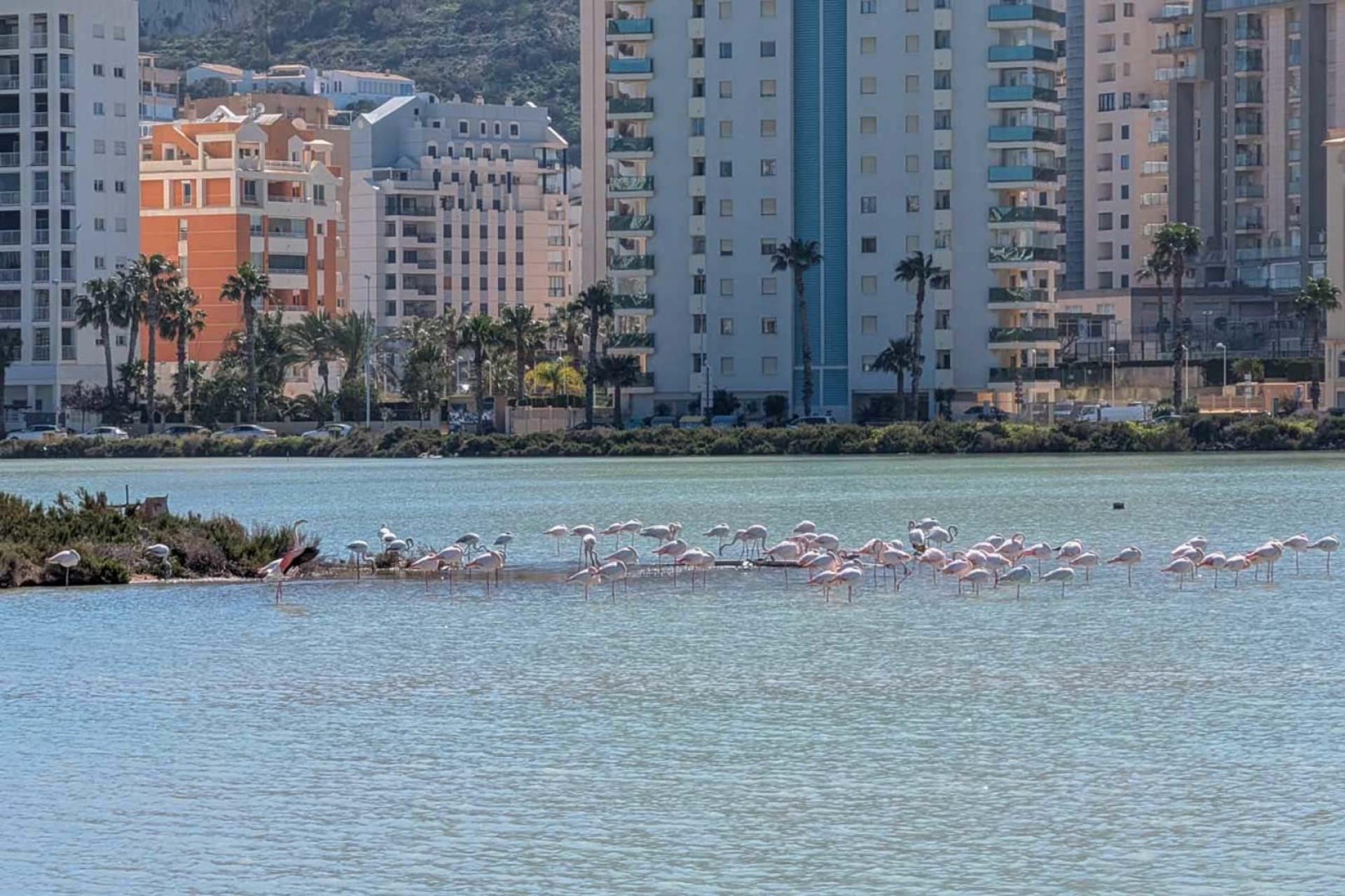 Te koop - Villa -
Calpe