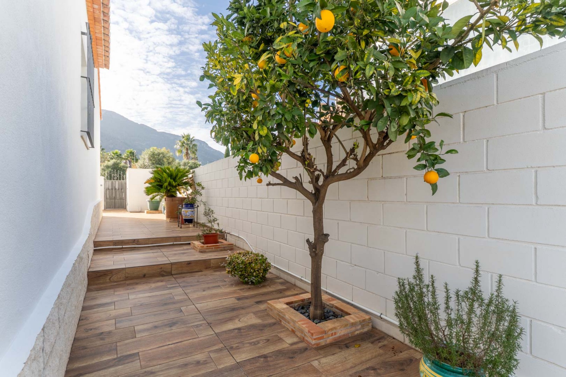 Te koop - Villa -
Denia