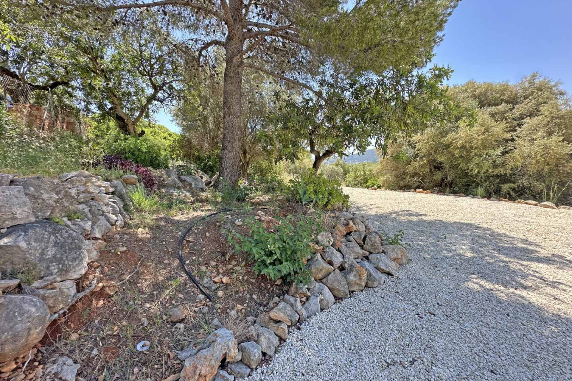 Te koop - Villa -
Jalon