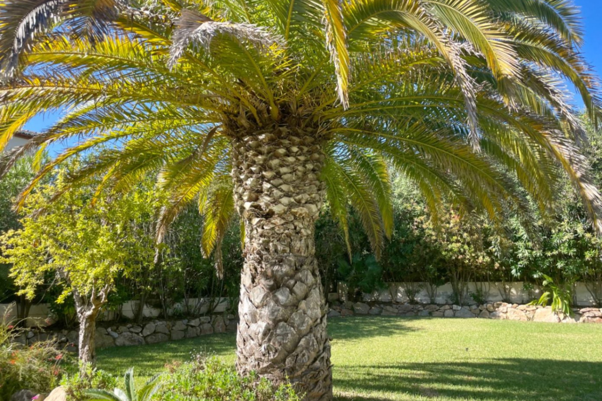 Te koop - Villa -
Javea