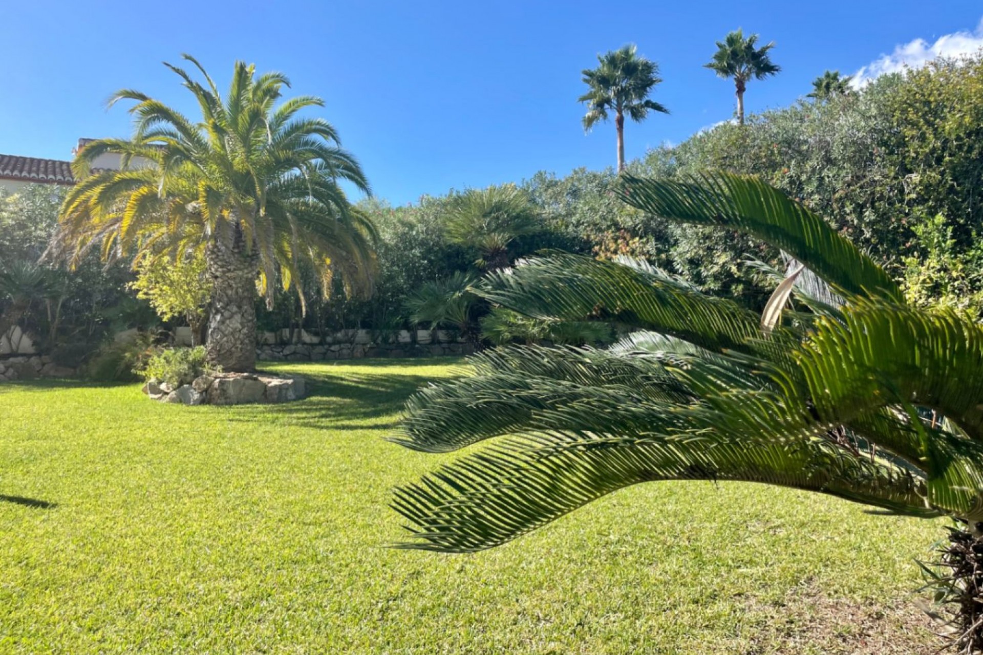 Te koop - Villa -
Javea