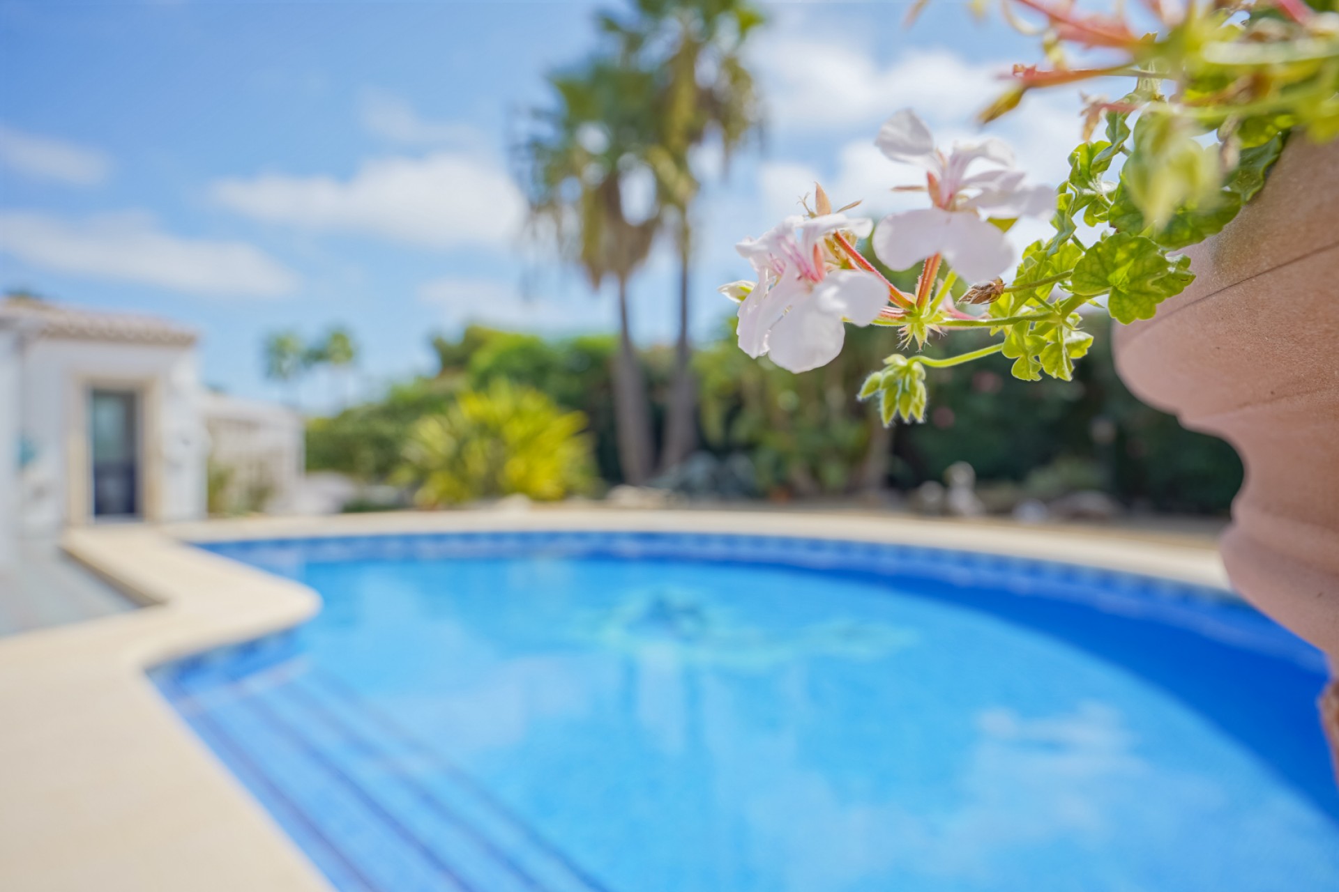 Te koop - Villa -
Javea