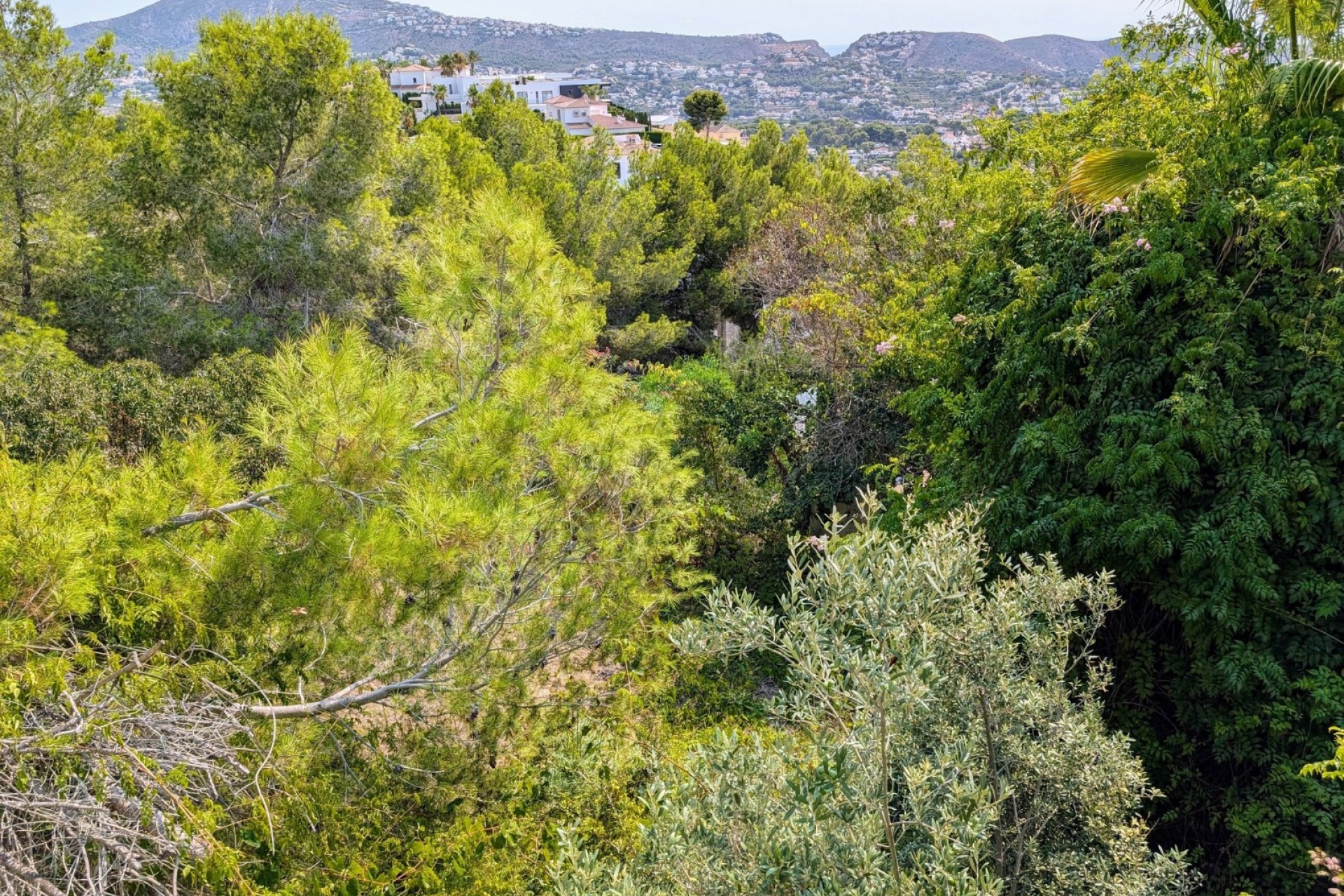 Te koop - Villa -
Moraira - Benimeit