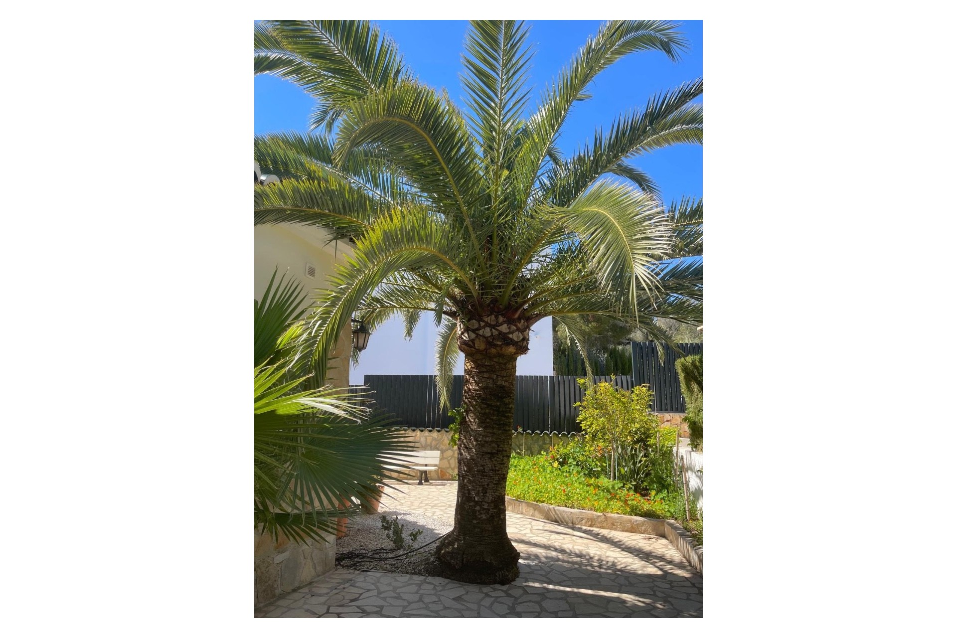 Te koop - Villa -
Moraira - Benimeit