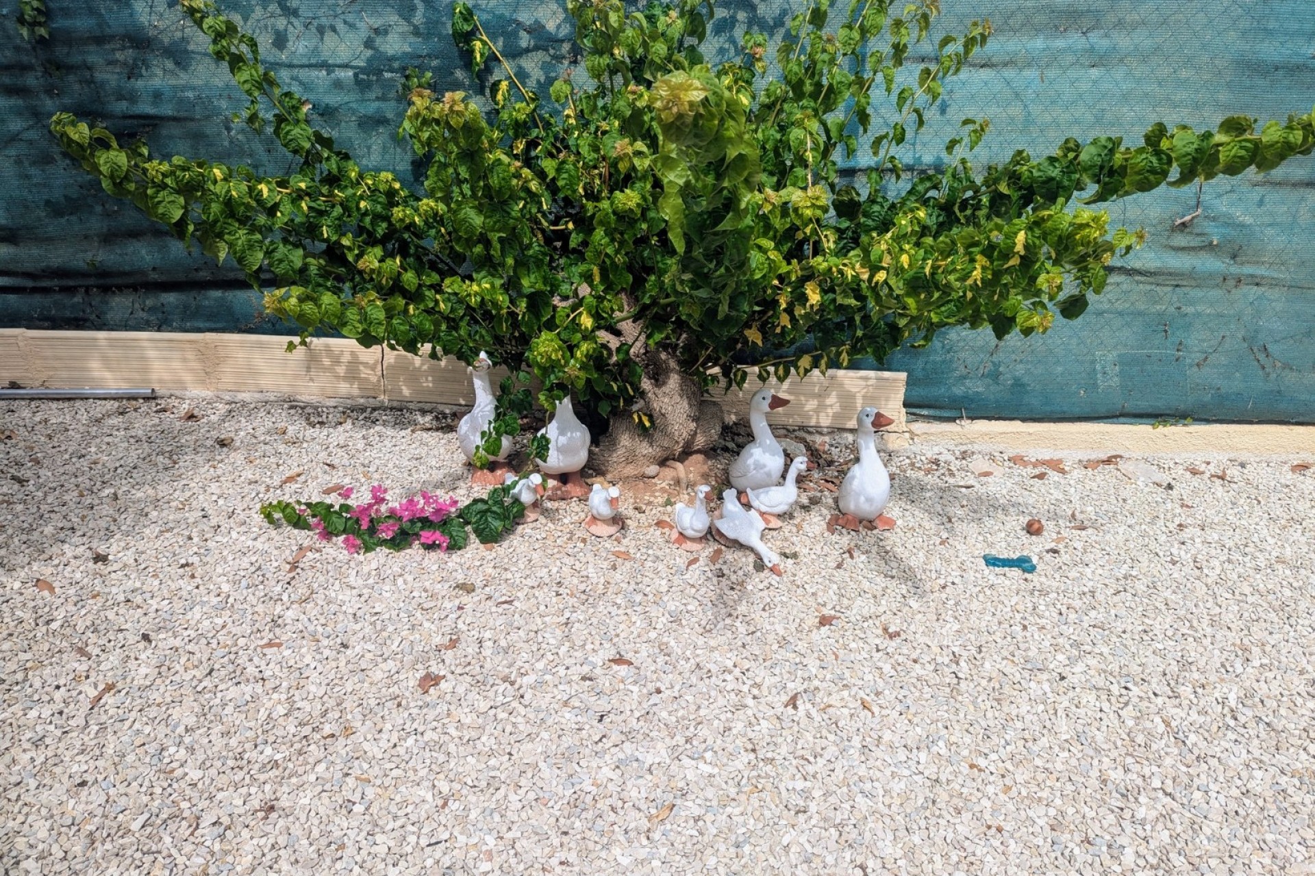 Te koop - Villa -
Moraira - Moravit