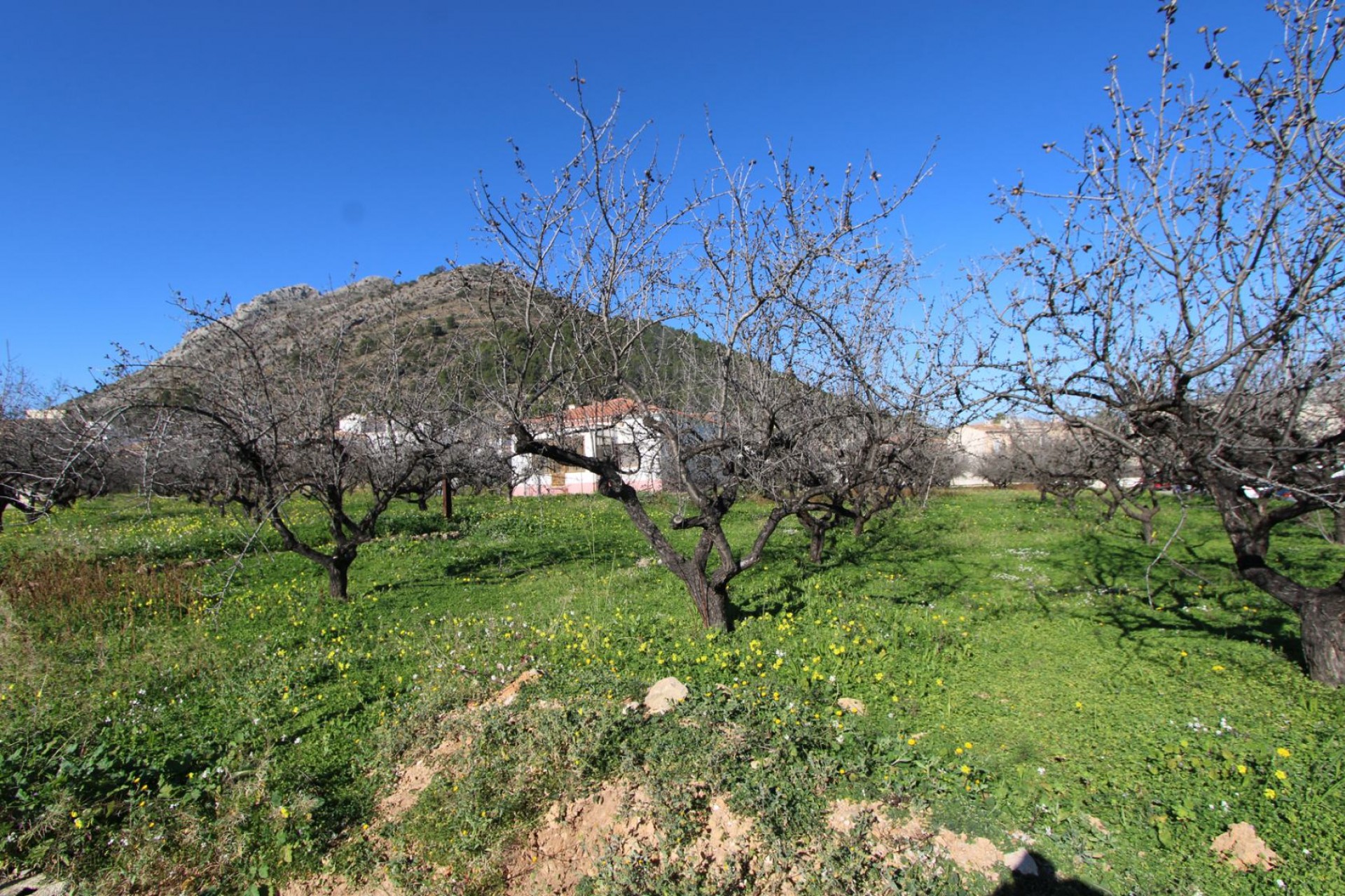 Te koop - Villa -
Murla