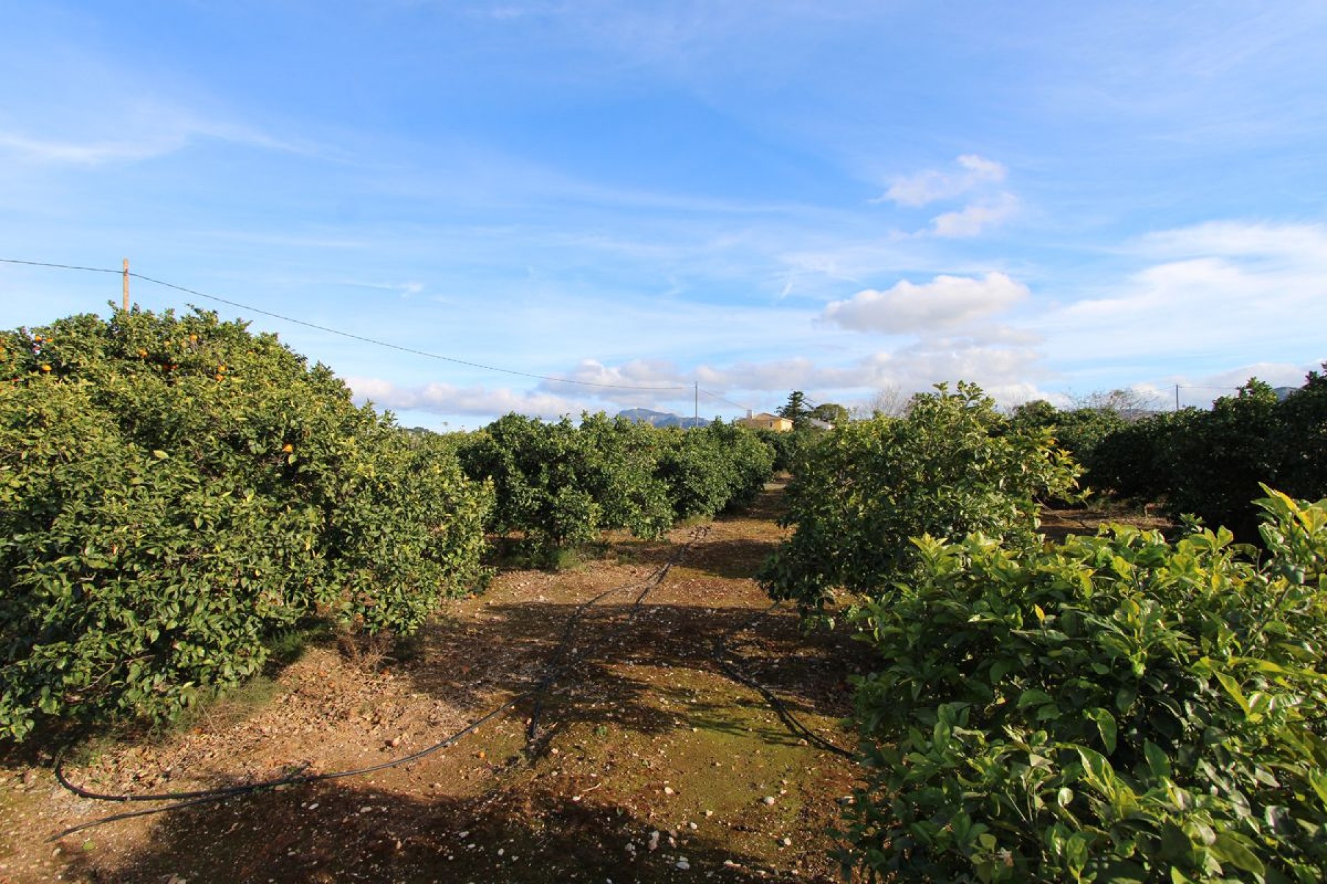 Te koop - Villa -
Ondara