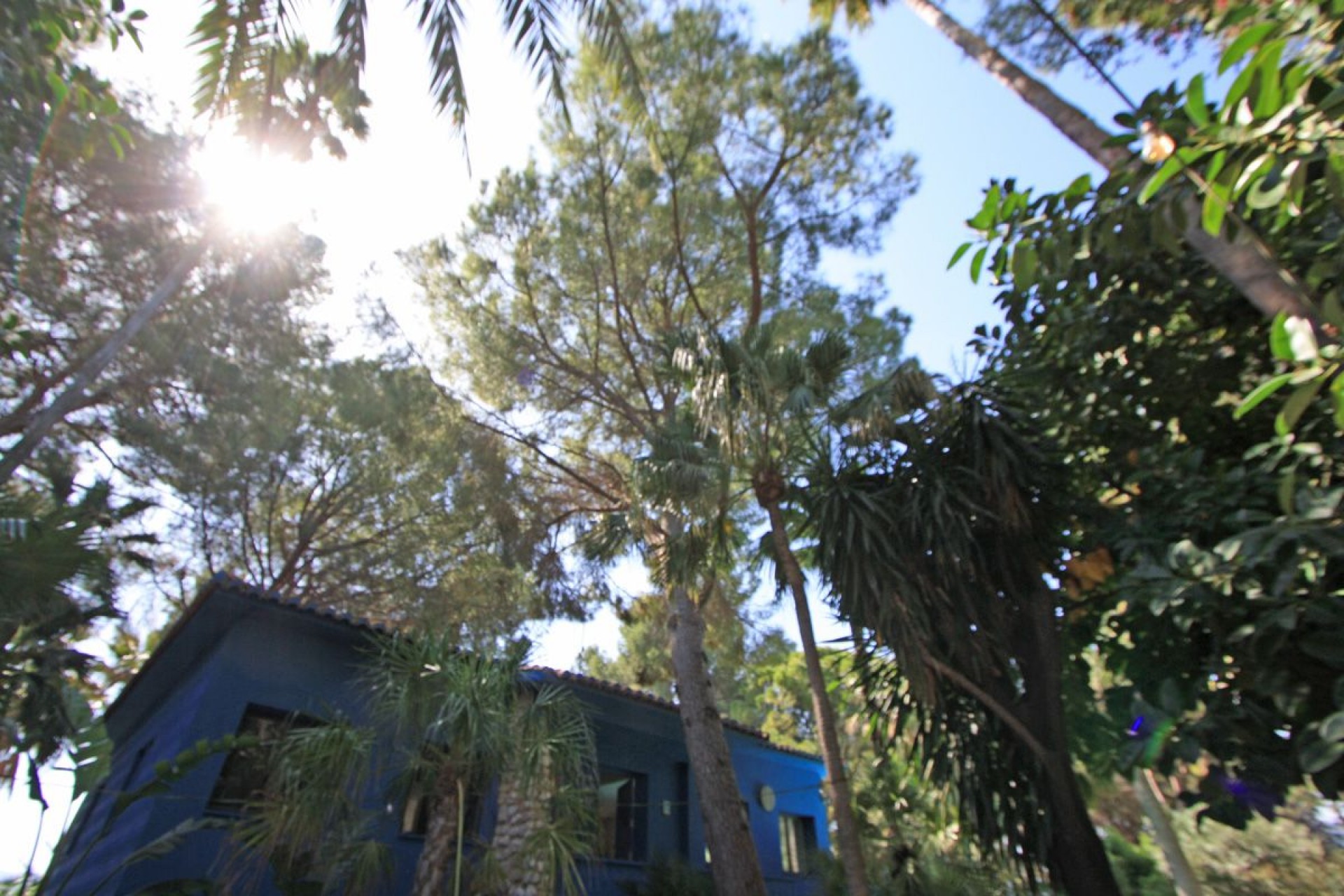 Te koop - Villa -
Sagra - Casco urbano